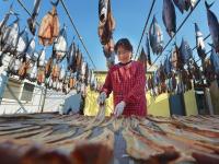 “一卤鲜”，挂满院，真鲜！