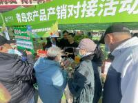 蜂蜜、糖人、老火腿…百种好货等你“种草”！“青岛农品”嗨购季持续到12月7日，约起
