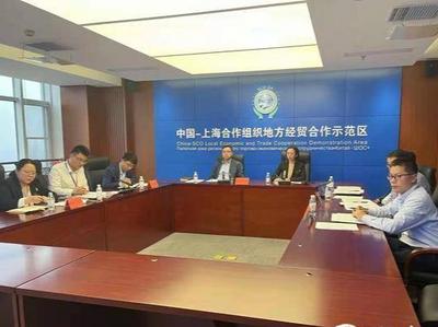 友城合作，共创未来！上合示范区-圣彼得堡市经贸合作对话会举行