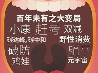 “转正”愈发困难，网络流行语与现实世界渐行渐远？