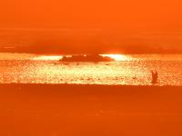 生态湿地藏秘境，夕阳候鸟入画来