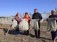 冬闲致富好路子！看青岛这个村的粉条经济