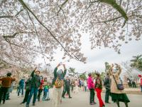 观海视觉2021年鉴⑫：“栋”见青岛