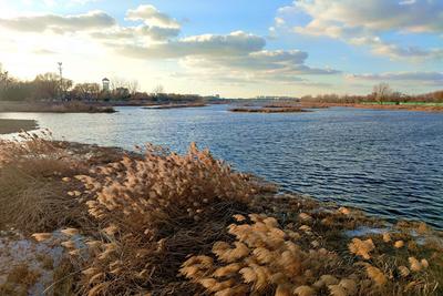 芦苇、河流、民舍……白沙河冬日美景爱了！