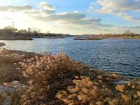 芦苇、河流、民舍……白沙河冬日美景爱了！