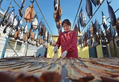 “一卤鲜”，挂满院，真鲜！