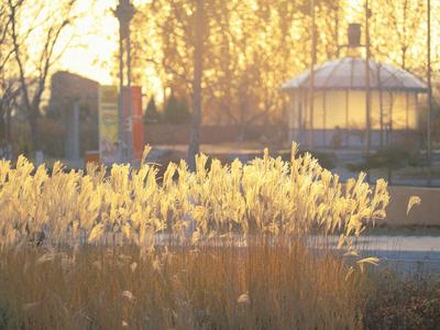 远山、芦苇、摩天轮...氛围感屏保请收好