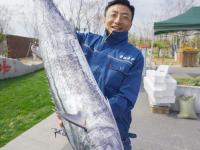 观海视觉2021年鉴⑦：快门是时间的魔法