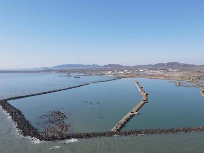 驻青央企参建！全球首座四代核能项目1号反应堆成功并网发电
