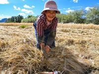 摄影记者2021年鉴⑤：我镜头里的援藏故事