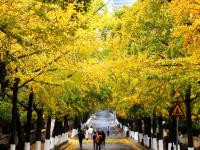 摄影记者2021年鉴④：居中而立，影像发声