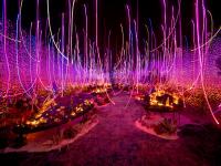 观海视觉2021年鉴⑦：快门是时间的魔法