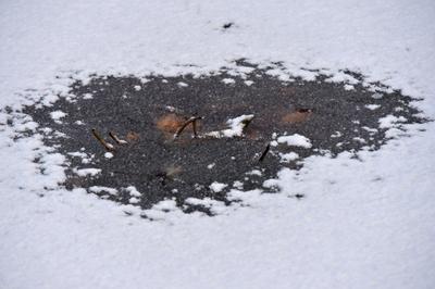 “冻”真格！青岛多处上演冰封景象