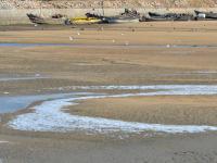 “冻”真格！青岛多处上演冰封景象