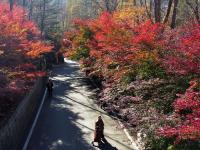 摄影记者2021年鉴③：航拍器里的四季掠影