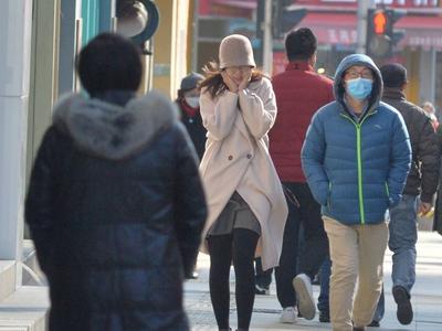 青岛“冻”真格！大风、雨、雪齐“发力”，最低温-7℃