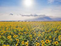 观海视觉2021年鉴⑭：萌新记者“城”长光影