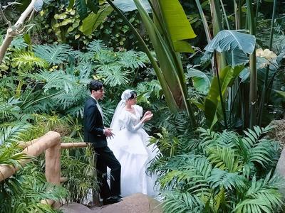 冬天，在世博园“撩”热带植物，约么？