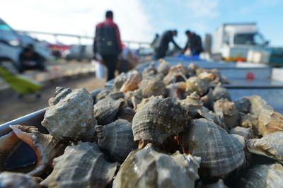 糖球、脂渣……城阳河套大集，真香
