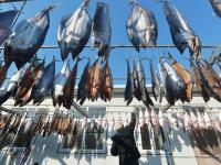 “一卤鲜”，挂满院，真鲜！