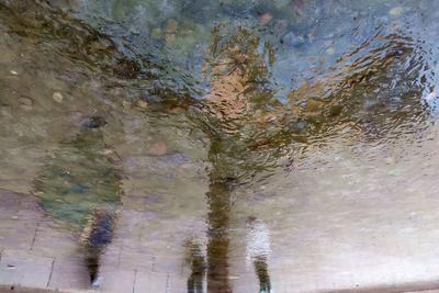 “冻”真格！青岛多处上演冰封景象