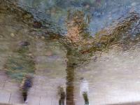 “冻”真格！青岛多处上演冰封景象