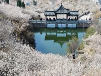 摄影记者2021年鉴③：航拍器里的四季掠影