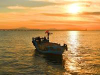 冬天开着渔船播种？实拍青岛“海耕”现场