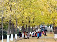 观海视觉2021年鉴⑨：脚步丈量，相机回忆