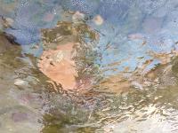 “冻”真格！青岛多处上演冰封景象