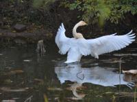 观海视觉2021年鉴⑨：脚步丈量，相机回忆