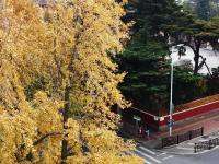 摄影记者2021年鉴③：航拍器里的四季掠影