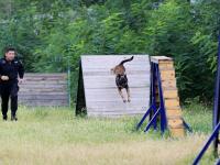 观海视觉2021年鉴⑩：用镜头存储城市温度