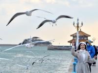 观海视觉2021年鉴⑨：脚步丈量，相机回忆