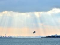 栈桥上空“天光乍现”，快来看！