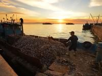 冬天开着渔船播种？实拍青岛“海耕”现场