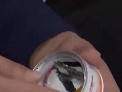 细思极恐！剃须刀洗面奶等日用品可改装成偷拍设备
