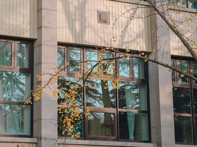 冬日寻花！那些遗留在枝头的“小温柔”