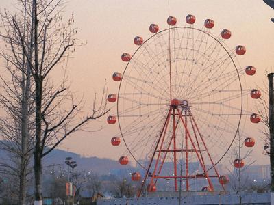 远山、芦苇、摩天轮...氛围感屏保请收好