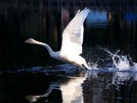 观海视觉2021年鉴②：极冷的天，极暖的心