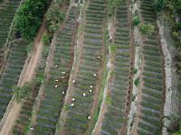 摄影记者2021年鉴③：航拍器里的四季掠影