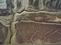 观海视觉2021年鉴⑧：用最热忱的方式记录