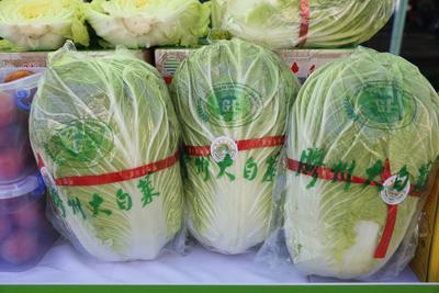 山东胶州大白菜栽培系统上榜第八批中国重要农业文化遗产候选项目名单