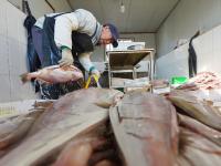 “一卤鲜”，挂满院，真鲜！