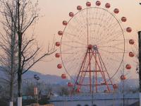 远山、芦苇、摩天轮...氛围感屏保请收好