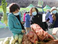 蜂蜜、糖人、老火腿…百种好货等你“种草”！“青岛农品”嗨购季持续到12月7日，约起
