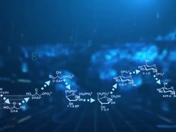 1立方米产量=5亩玉米产量，人工合成淀粉技术了解一下