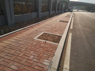 记者回访|垃圾荒草被清 街区环境洁净美观