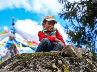 摄影记者2021年鉴⑤：我镜头里的援藏故事