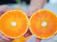 舌尖上的橙色，重庆果农“组团”来青卖橙
